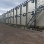 nave de gallinas en suelo